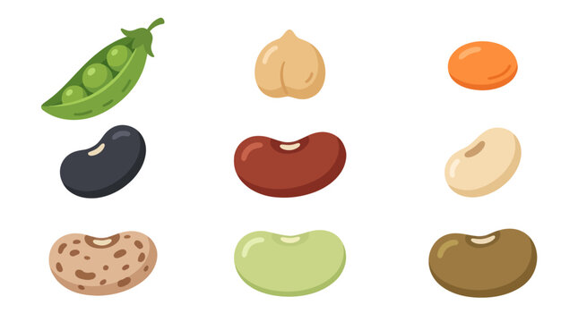 Assorted legumes and pulses collection