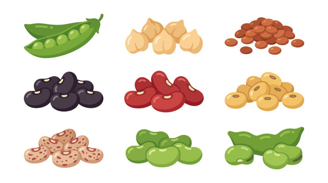 Assorted legumes and pulses collection