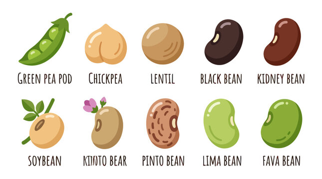 Assorted legumes variety collection