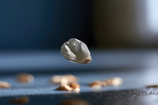 A lone flower petal hovers delicately in the air, evoking a sense of weightlessness and beauty, enhanced by scattered seeds creating an artistic composition.