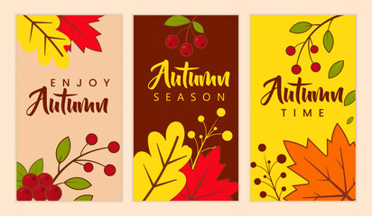 Autumn seasonal card set with fall foliage and berry illustrations © holylayer
