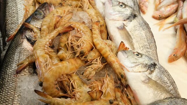 Freshly caught raw sea bream and red mullet fish displayed in wooden crates at a market stall, fa01