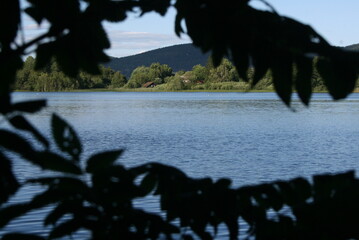 Scenic lake landscape naturally framed by dark tree leaves with calm water, green shoreline and distant hills under soft summer daylight. Perfect for travel and nature themes. © GlaDDeN