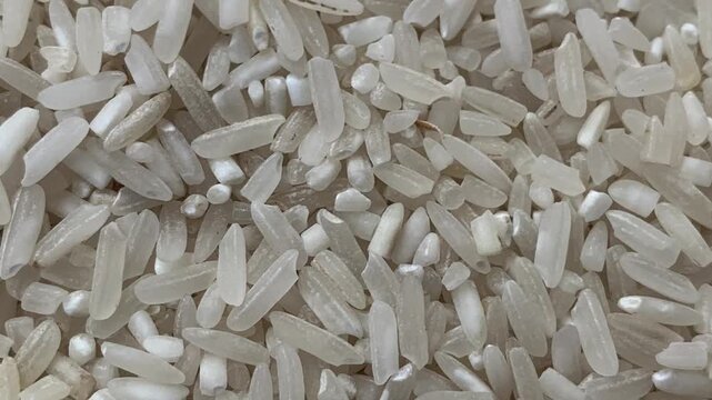 white rice background