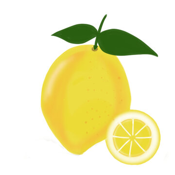 Lemon cut slices vector set, Whole, half and slice chopped lemon fruit flat collection
