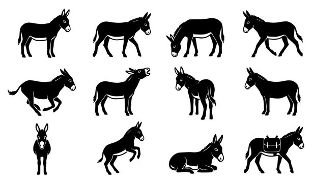 Donkey Silhouette Vector Set with Standing, Walking, Grazing, Running, Rearing and Resting Animal Poses