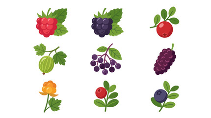 Assorted wild berry collection © Fcraw