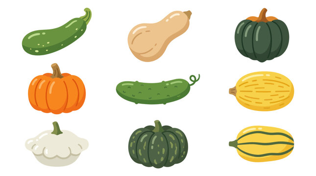 Assorted winter squash and gourd collection