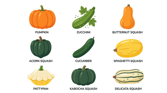 Assorted winter squash and vegetables collection