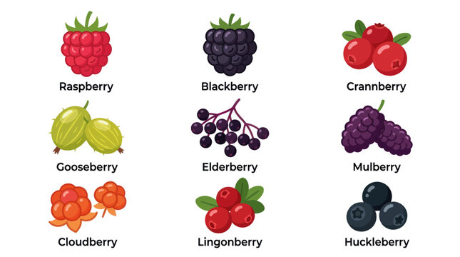 Assortment of fresh berries collection
