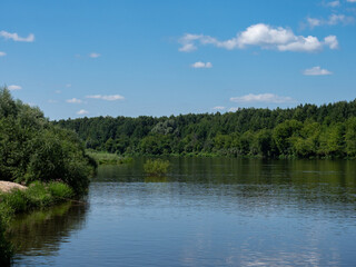 Fototapeta premium the beauty of the Russian land. The nature of the native land.The forest is a river on a summer day.