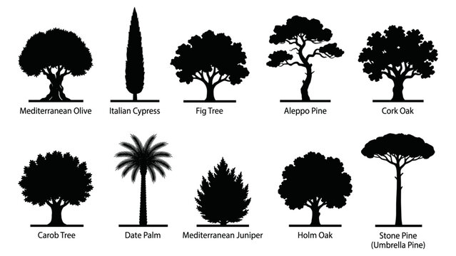Collection of Mediterranean tree silhouettes including olive, cypress, pine, palm and evergreen species with iconic southern landscape forms
