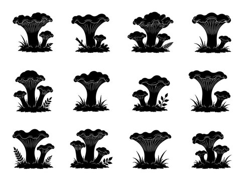 Collection of 12 unique black chanterelle mushroom silhouettes featuring funnel shaped wild fungi in varied natural clusters, isolated on white background