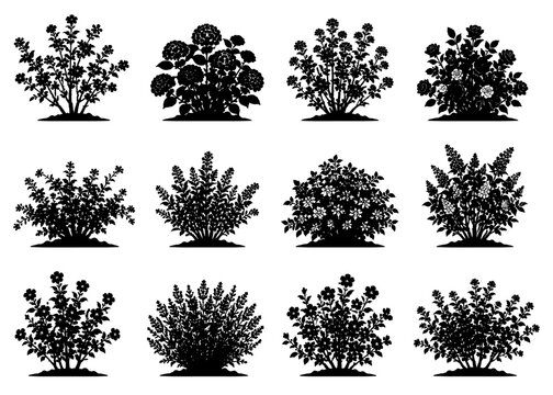 Collection of 12 unique black flowering shrub silhouettes featuring ornamental garden bushes with diverse blossoms and branching forms, isolated on white background in clean vector style