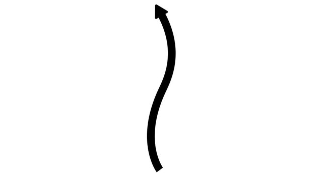 Minimal black wavy arrow drawing upward on white background, premium clean hand drawn style directional pointer loop animation asset. 4k stock Video