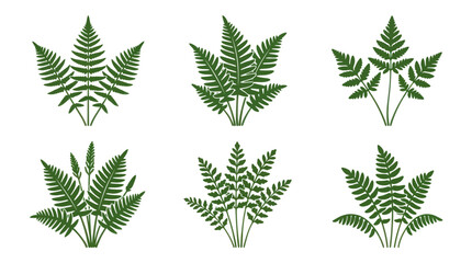 Green fern leaf collection © ImamBombo