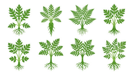 Green plant growth tree root system © Insto
