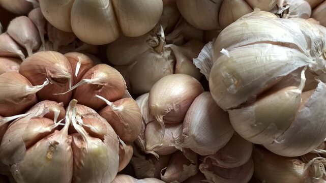 garlic on the market