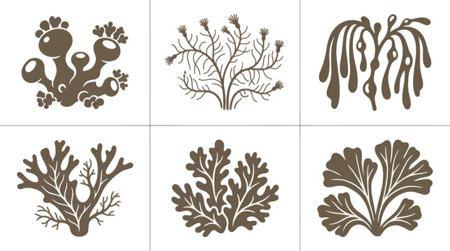Marine plant silhouettes