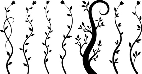 Collection of black silhouette vertical floral vines and elegant tree branch with leaves for vector graphic design © Mukti