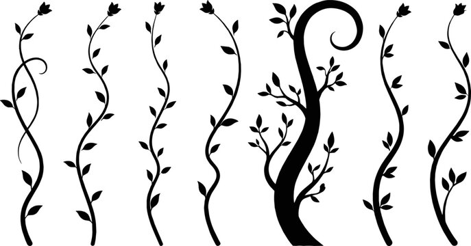 Collection of black silhouette vertical floral vines and elegant tree branch with leaves for vector graphic design