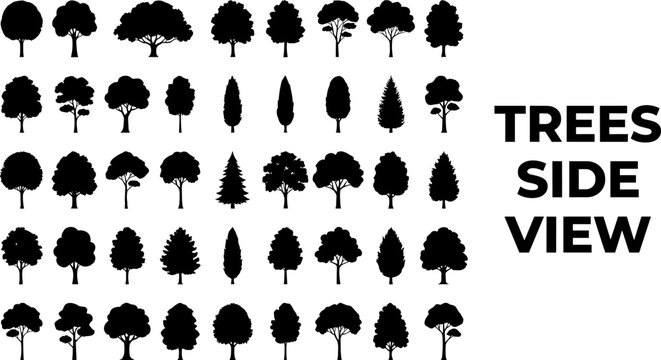 Collection of diverse tree silhouettes side view for landscape design and architectural rendering vector set