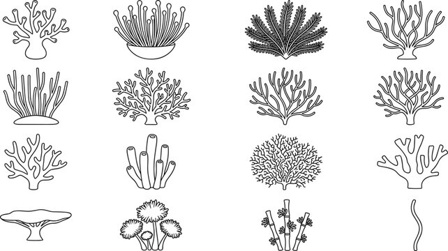 Collection of simple black outline marine coral and seaweed vector icons for underwater nature design projects