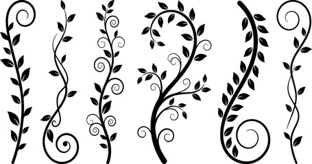 Set of vertical floral vine silhouettes with elegant leaves and swirl ornaments for decorative border design © Mukti