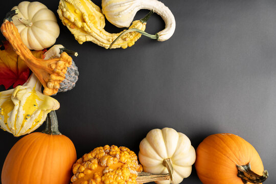 Pumpkins and gourds frame a black background.