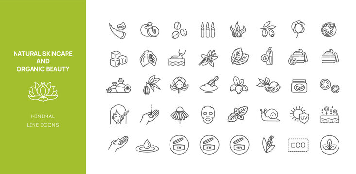 Eco Cosmetic Ingredients Line Icons Set. Natural Skincare and Organic Beauty