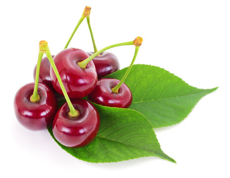 Ripe sweet cherries with green leaves isolated on white background