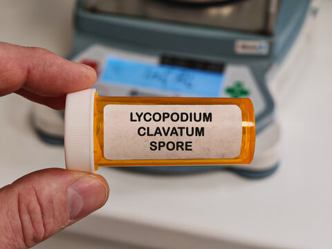 LYCOPODIUM CLAVATUM SPORE homeopathic ingredient for highly diluted homeopathic preparation concepts