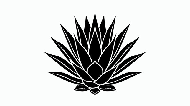 Black Agave Plant Silhouette on White Background, Minimalist Botanical Illustration
