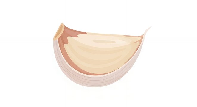 Minimalist Illustration of a Single Garlic Clove Isolated on Plain White for Kitchen Seasoning and Food Graphics