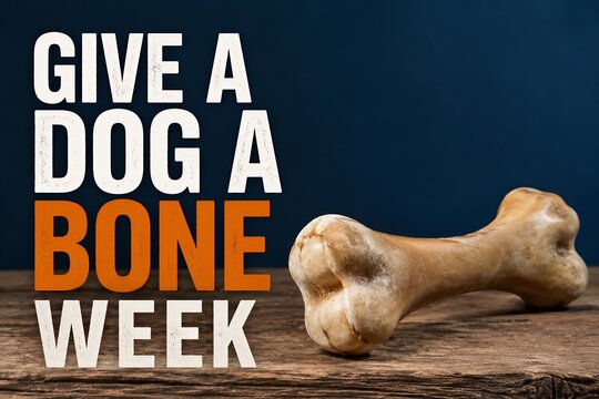 Give a Dog a Bone Week text design with a pet treat on rustic wood
