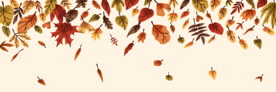 Border design with falling leaves. Hello autumn banner with faded wood foliage. Flying and dropping down forest leafage. Fall theme background. Autumnal nature edge template. Flat vector illustration
