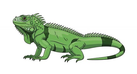 Fototapeta premium Colorful Green Iguana Reptile Illustration with Spiky Back and Detailed Scales Isolated on a Clean White Background