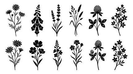 Botanical silhouettes collection © Nikolas Abraham