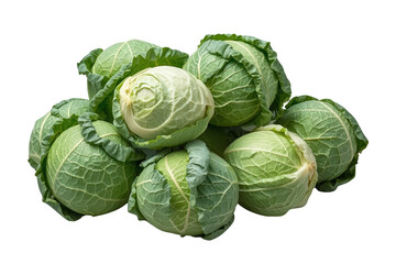 Fototapeta premium Fresh green cabbage heads piled up, showing organic raw vegetables for healthy eating and cooking recipes, transparent background