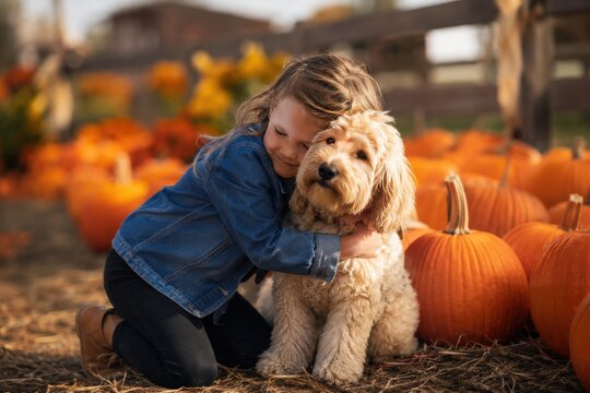 Heartwarming scene of a young girl hugging her fluffy golden dog in a sunny pumpkin patch during the autumn harvest season, capturing childhood joy...