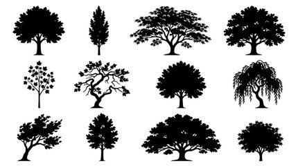 Collection of diverse tree silhouettes © Golden