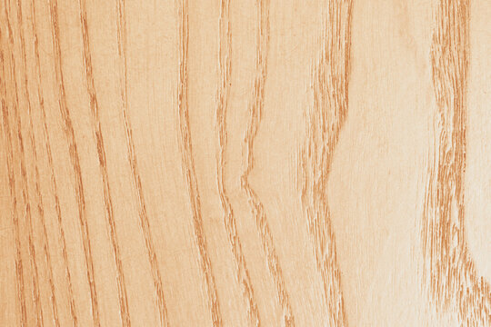 Horizontal close up macro view of a pale beige wood texture with clean natural ash timber grain and soft wavy lines for modern interior background design