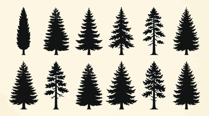 Obraz premium Collection of evergreen tree silhouettes