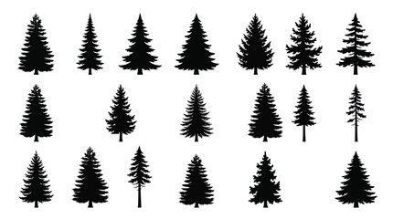 Obraz premium Collection of evergreen tree silhouettes
