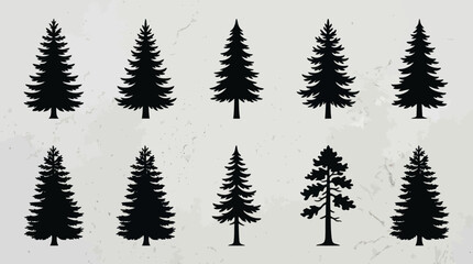 Obraz premium Collection of evergreen tree silhouettes
