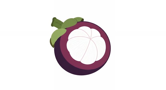 Half Cut Fresh Tropical Mangosteen Fruit Illustration with Deep Purple Skin and White Flesh on Plain Background