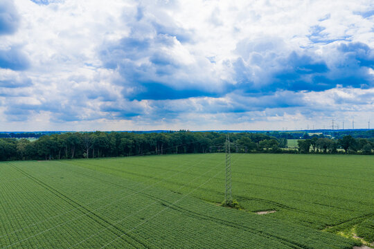 Electricity power lines in nature landscape. Green nature energy. Landscape of electric voltage station. High voltage. Electricity pylon. Nature summer environment. Electricity tower