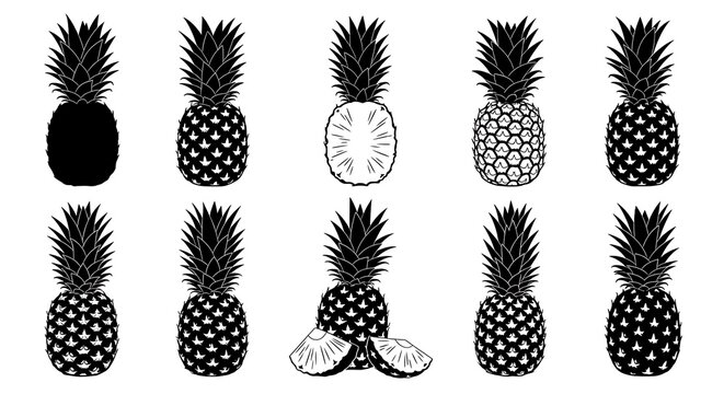 Set of black pineapple icons and sketches representing tropical fruit silhouettes and line art style