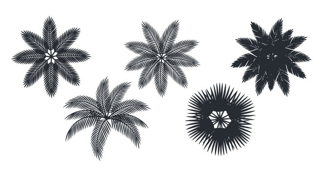 Set of hand drawn star shapes and ink brush doodle elements in black for creative design projects and graphic art