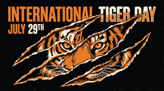 International tiger day commemorative graphic design featuring intense feline eyes behind sharp ripped paper claw marks with commemoration
